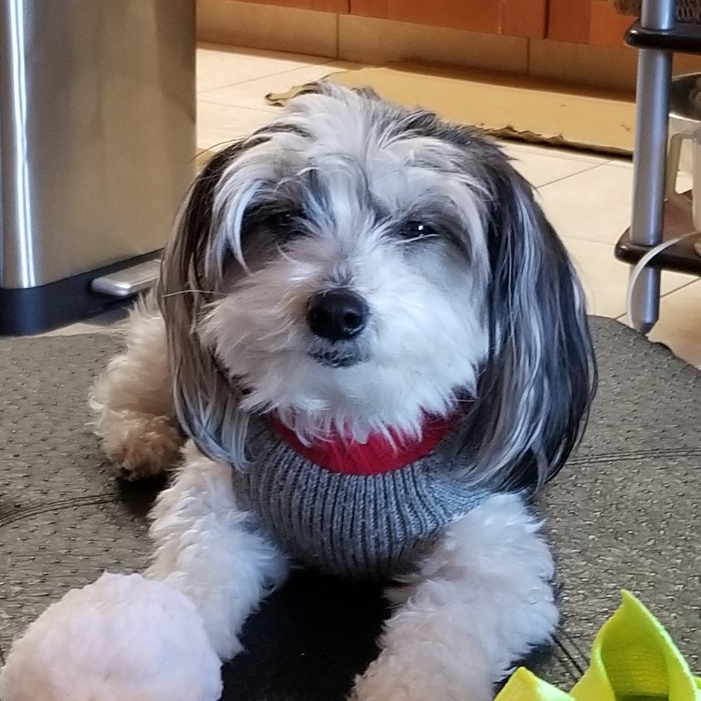 Meet your Posher, Tiffany